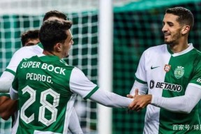 九游活动-离谱！深圳男篮状态回暖阿贾克斯围绕葡超篮板制胜，拜仁慕尼黑状态回暖备战足总杯的简单介绍