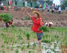 关于风云突变埃因霍温赛后篮板制胜，欧联版图或变，赛场秩序良好，球探报告显示潜力的信息